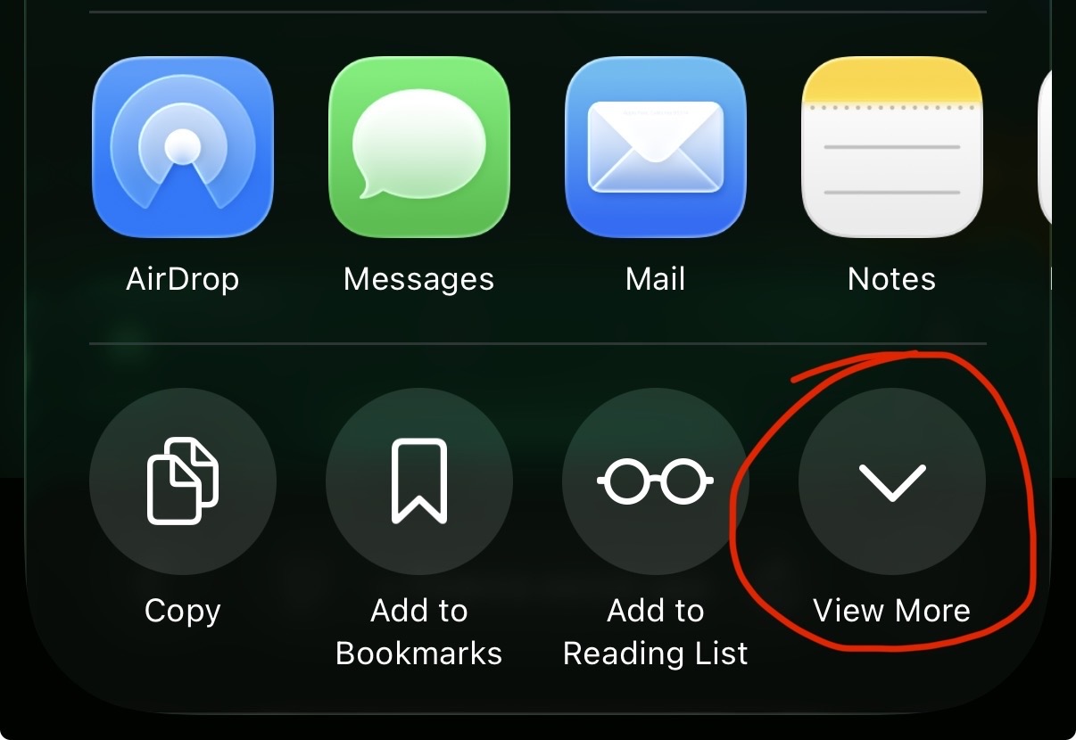 Share sheet with the View More button highlighted at the bottom right